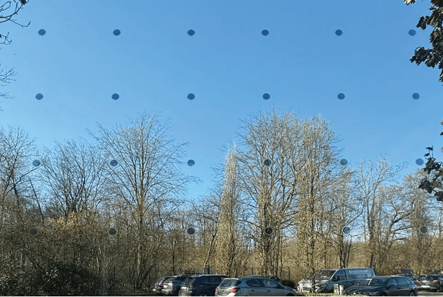 Vogelschutz Birdsafe®