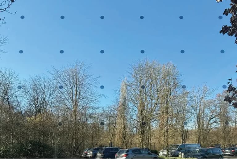 Vogelschutz Birdsafe®